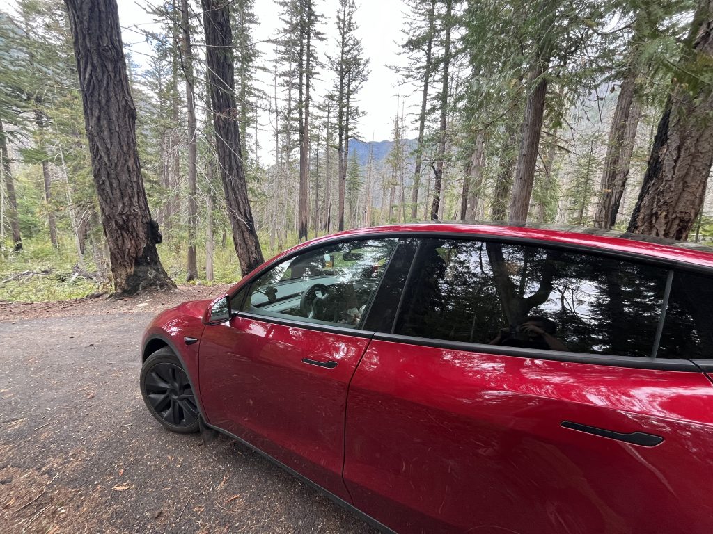 ed Tesla parked along a forested road with tall trees and a mountainous backdrop