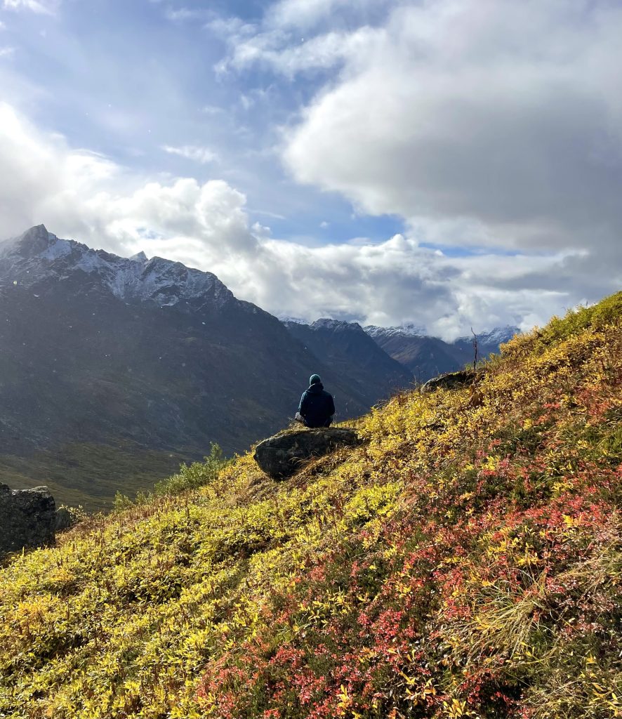 A person sitting on a hill covered in yellow and red foliage, looking towards distant mountains under a partly cloudy sky