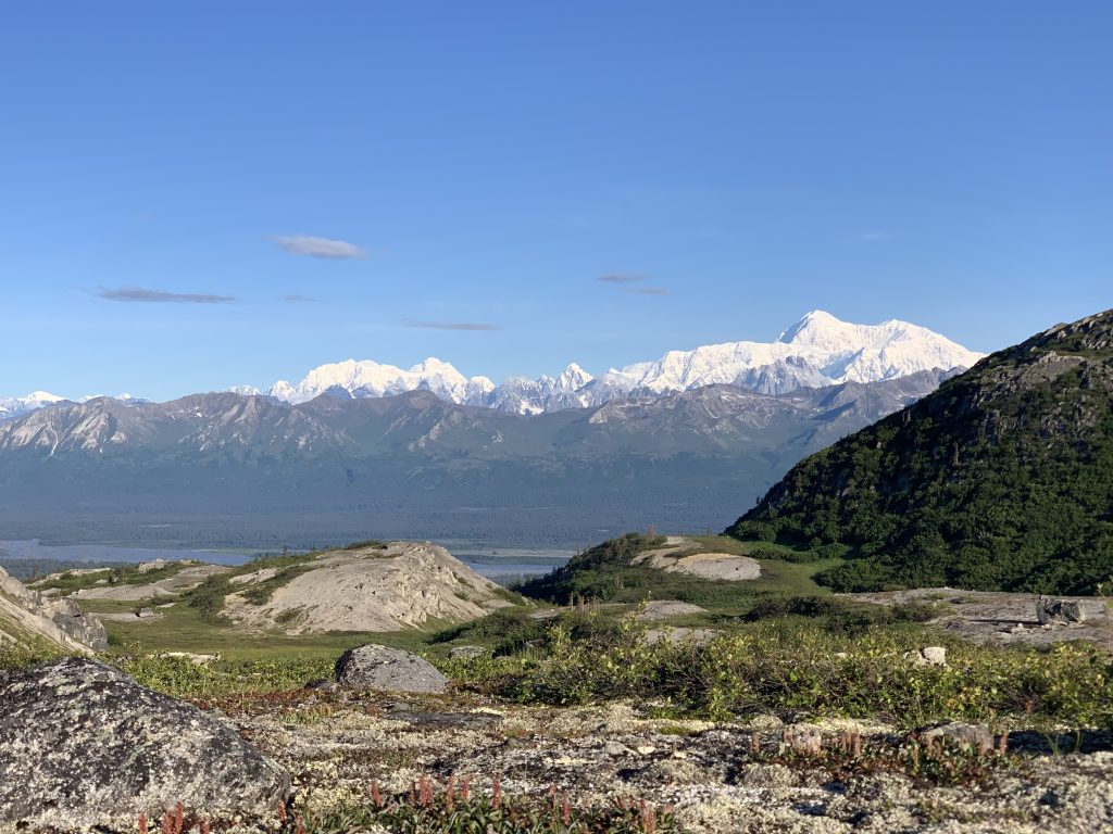 Snow-capped Denali mountain range under a clear sky