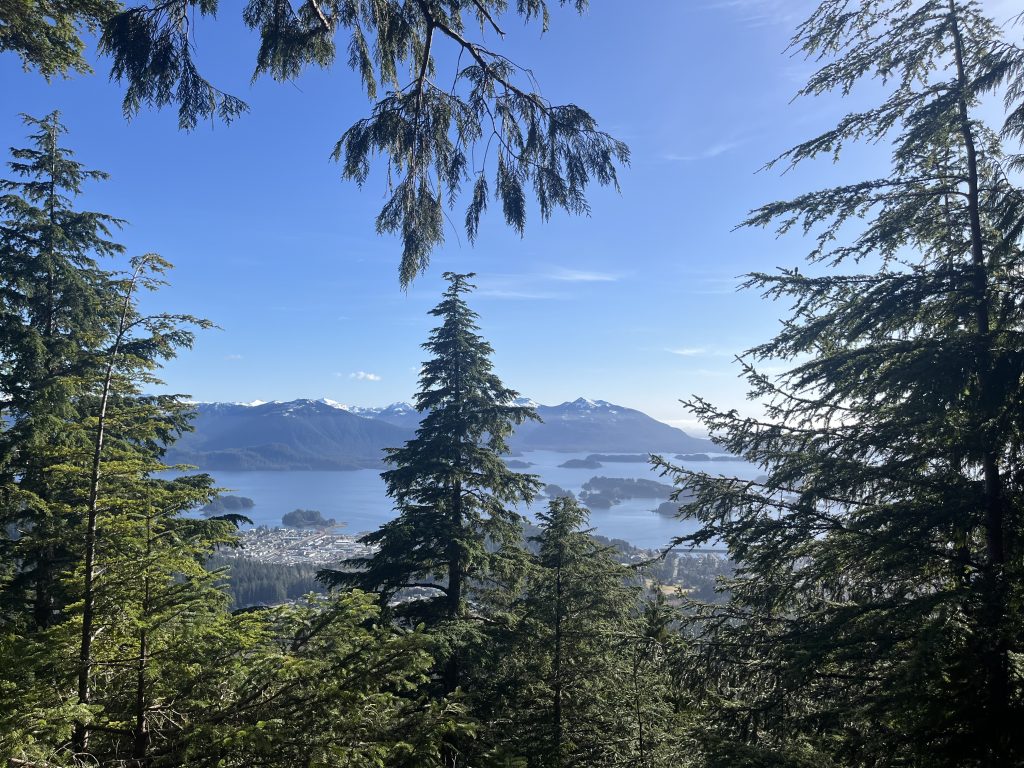 View of the ocean and islands from a forested mountainside in Sitka, Alaska