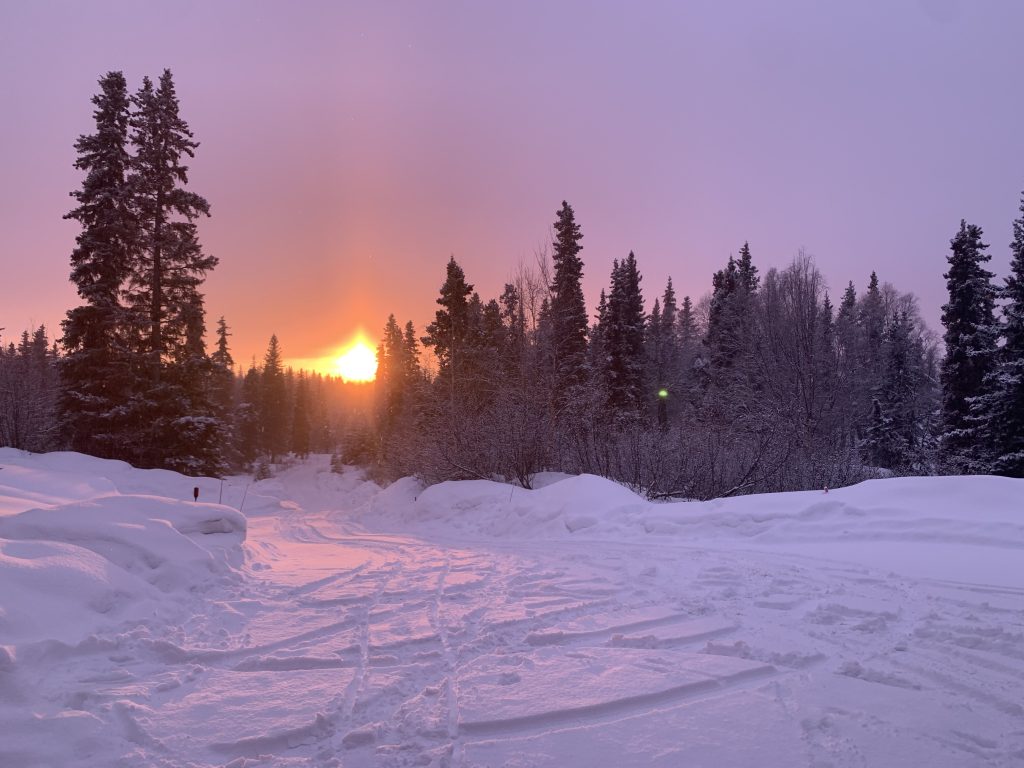 Snow-covered path in a forest with the sun setting between trees, creating a purple and pink sky