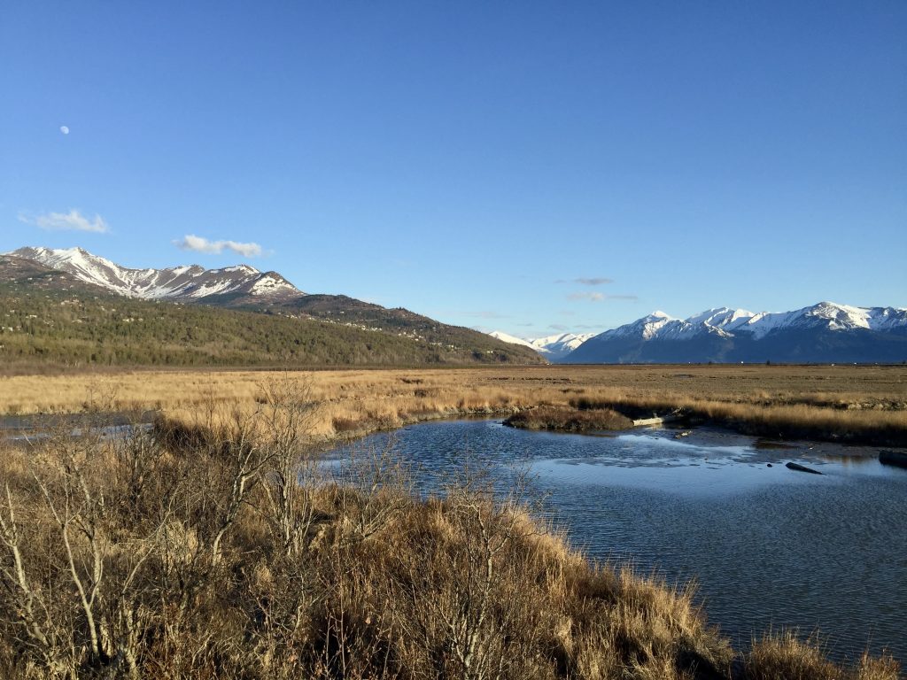 A view of Potter Marsh Wetlands with mountains in the background near Anchorage, Alaska.