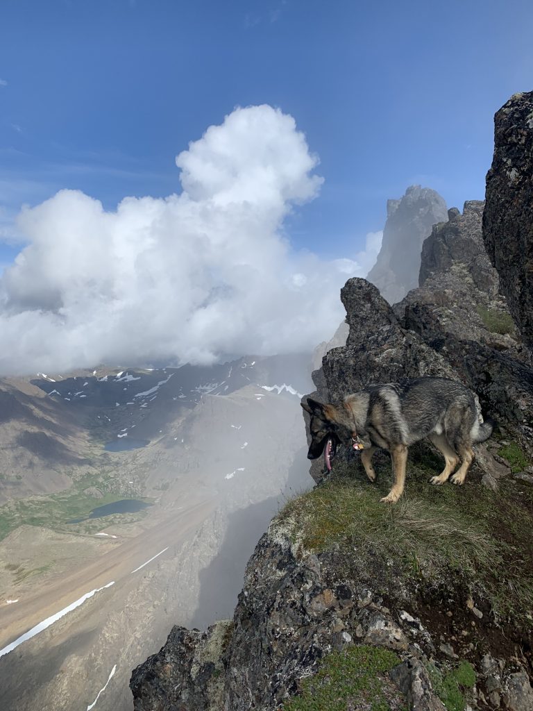 A dog stands near the edge of Big O'Malley Peak with clouds and mountains in the background