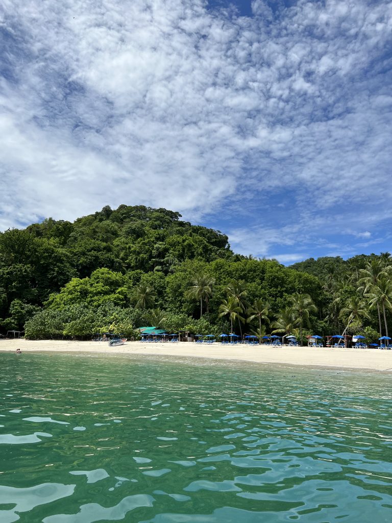 View of a tropical beach with turquoise water and lush greenery in Tortuga Beach, Costa Rica