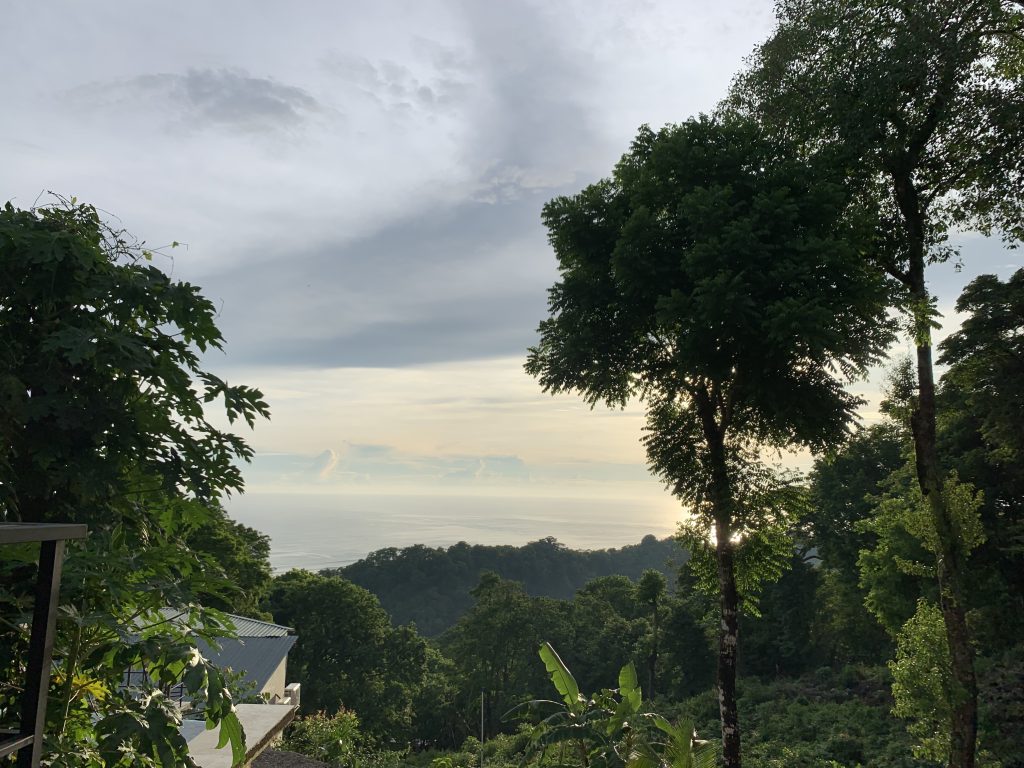 View of the lush Costa Rican rainforest in Santa Teresa with the ocean in the distance, seen from a high vantage point