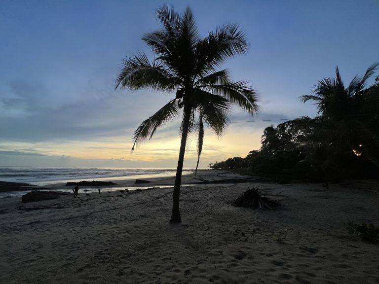 Sunset view of a beach in Costa Rica with a lone palm tree silhouetted against the sky