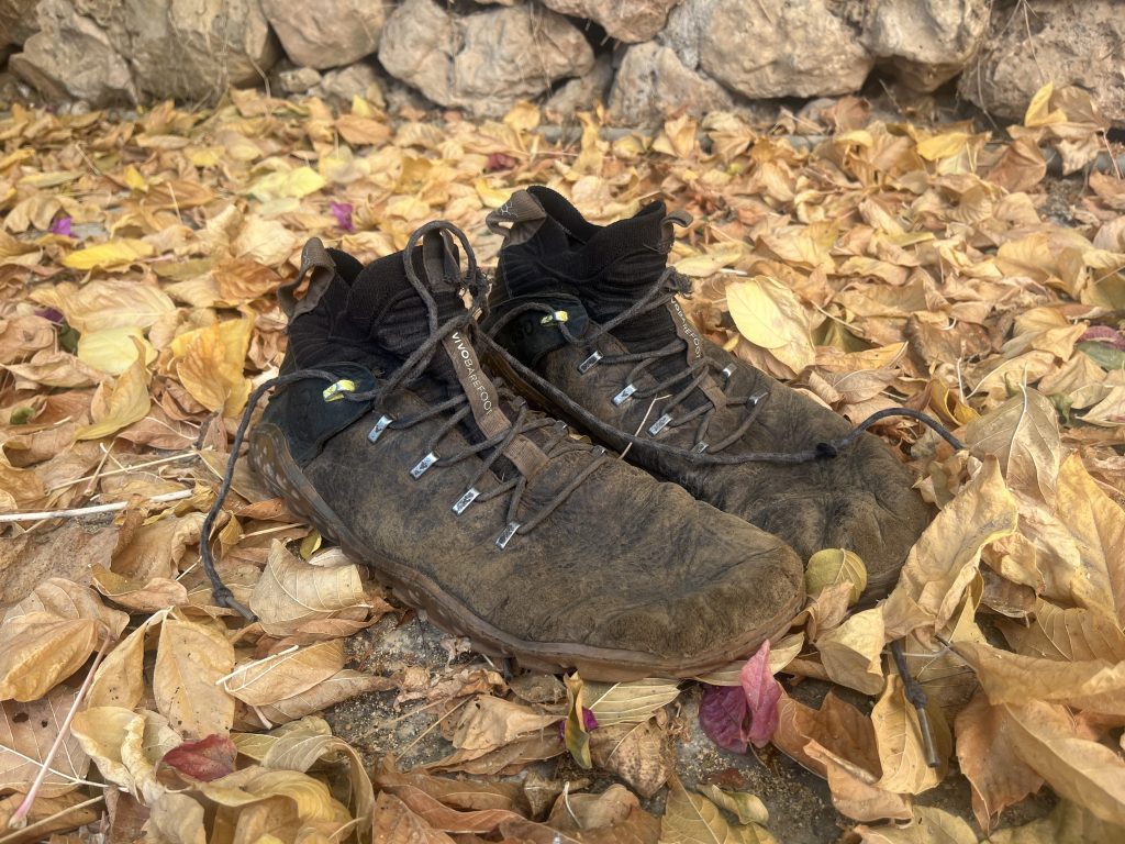 Vivobarefoot hiking boots on a bed of autumn leaves