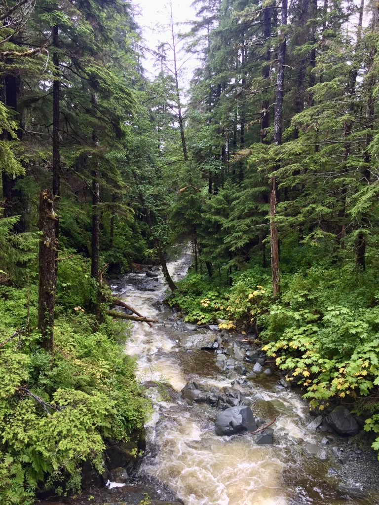 A rushing creek surrounded by dense green trees in Sitka, Alaska’s Tongass National Forest.