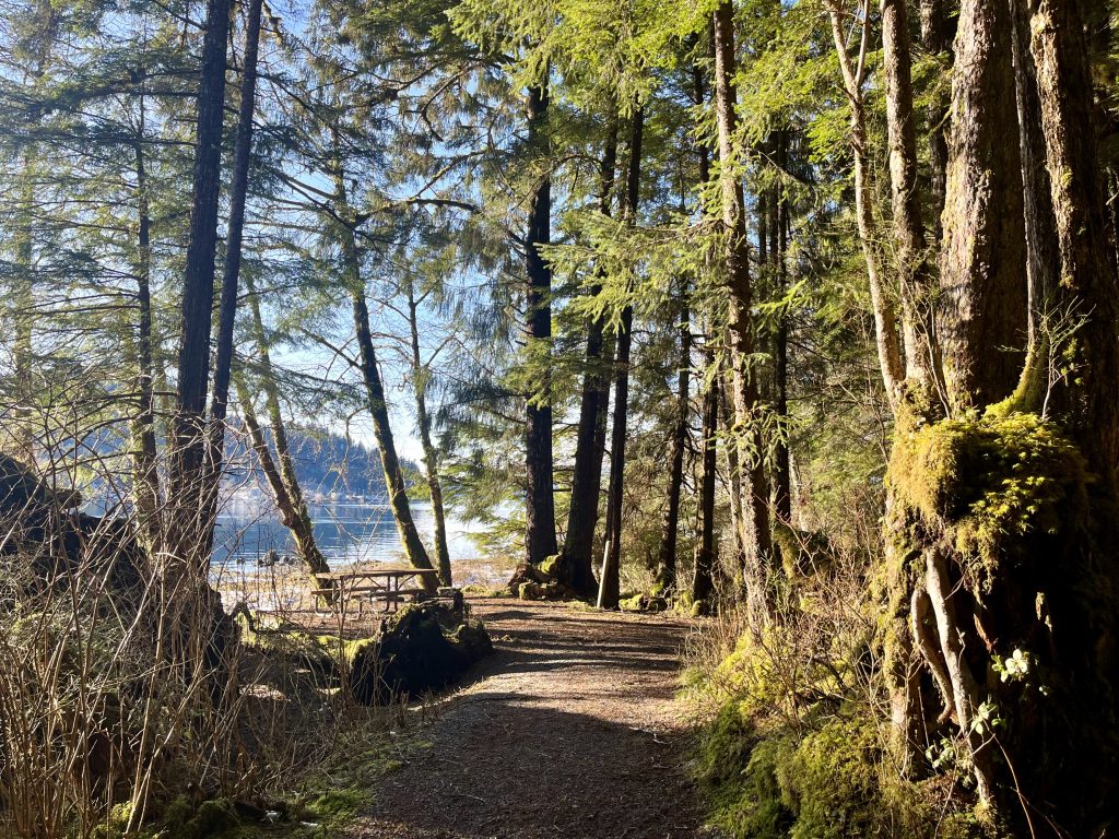 A forest trail with moss-covered trees leading to views of Sitka’s calm waters.