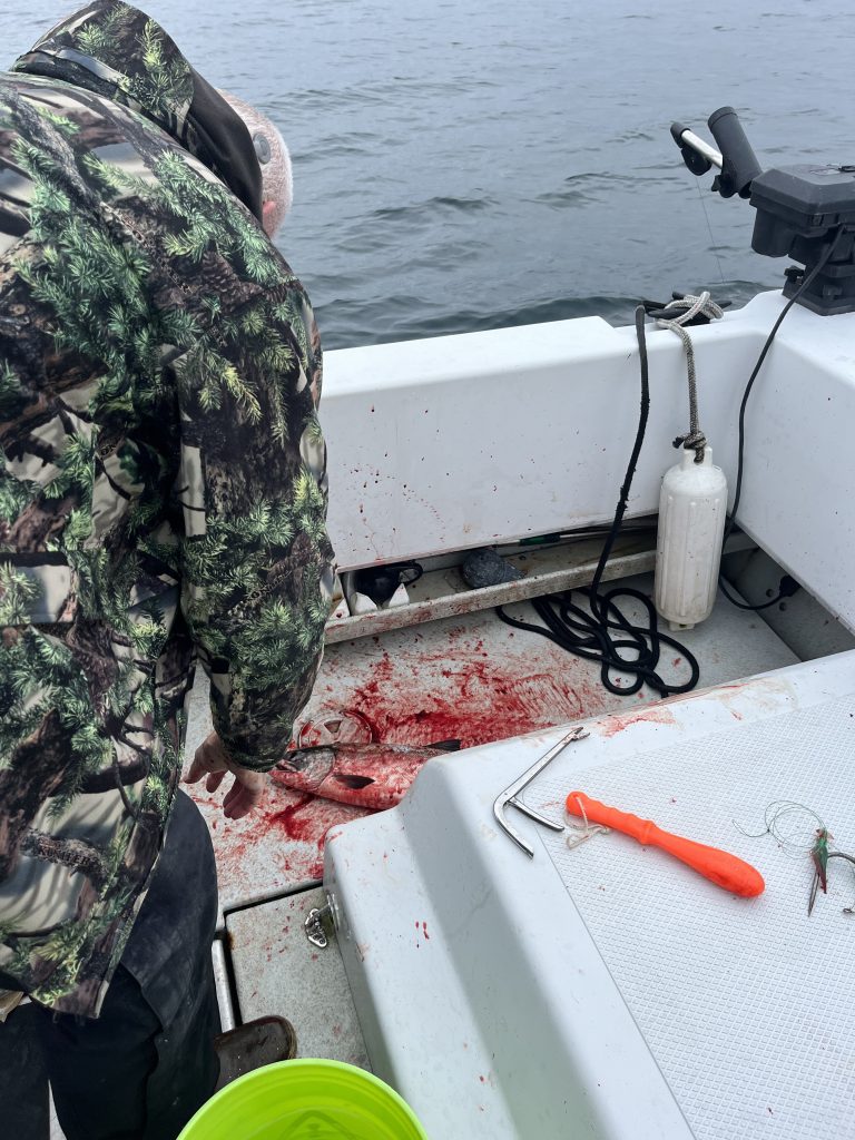 A person in a camouflage jacket cleaning a freshly caught fish on a fishing boat in Sitka, Alaska. Blood stains are visible on the deck.